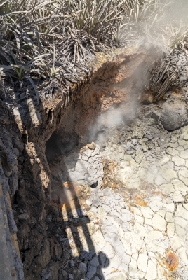 Sulfur Vents Ricron Volcano 2024